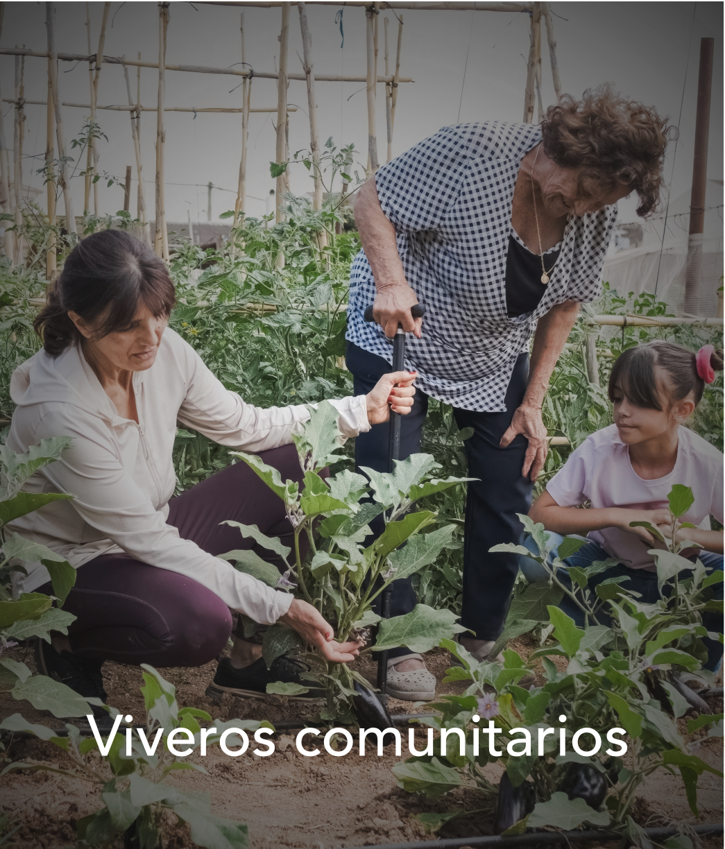 soluciones03