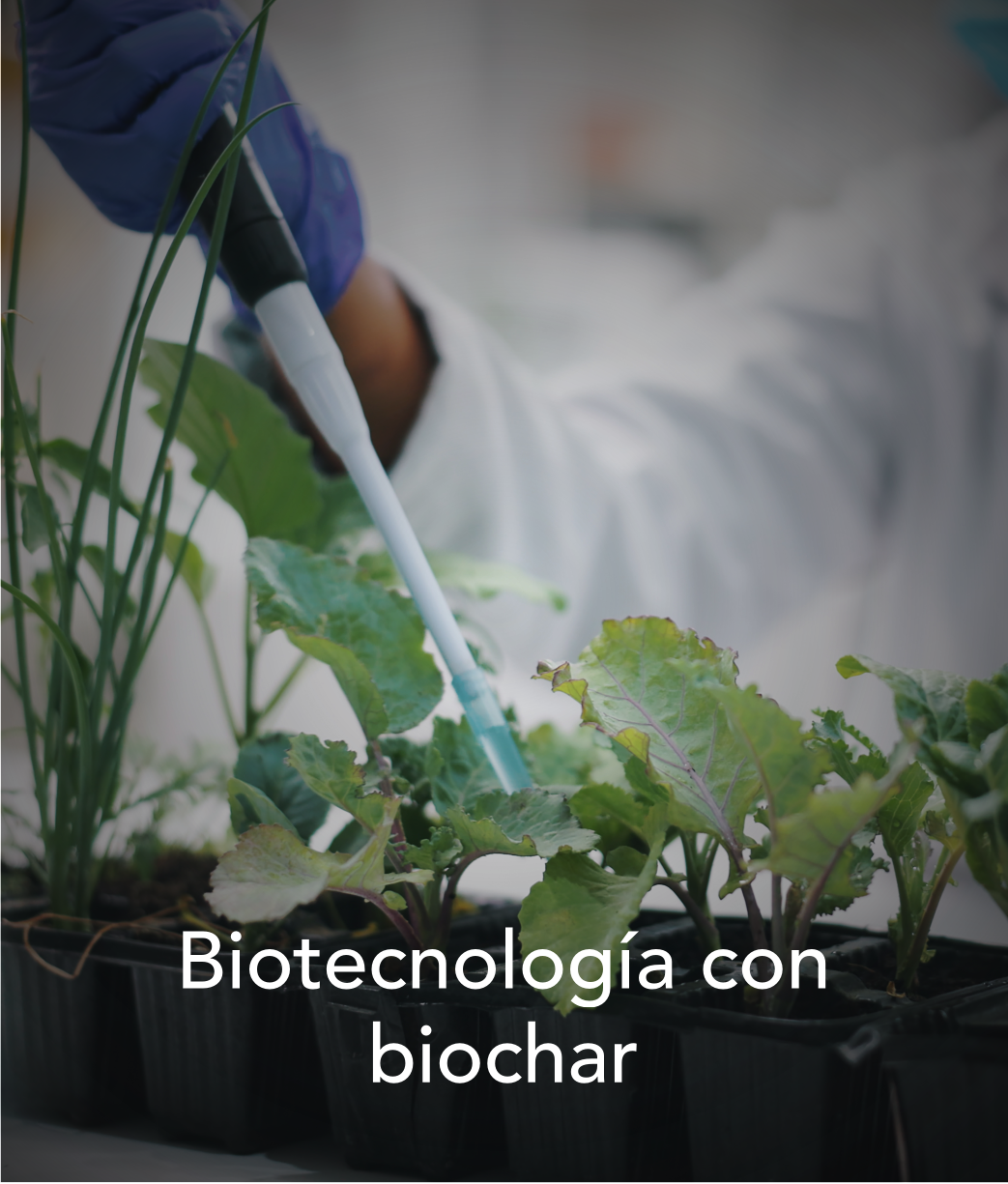 soluciones04