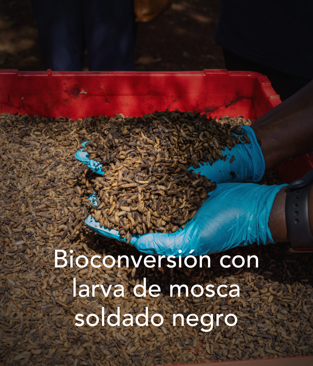 soluciones07