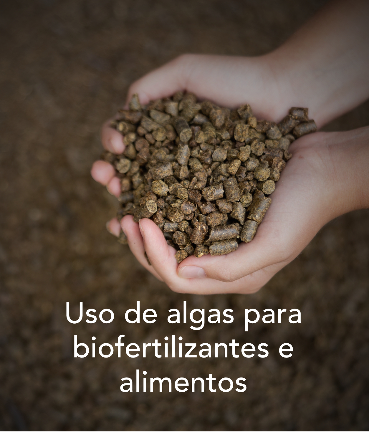 soluciones02