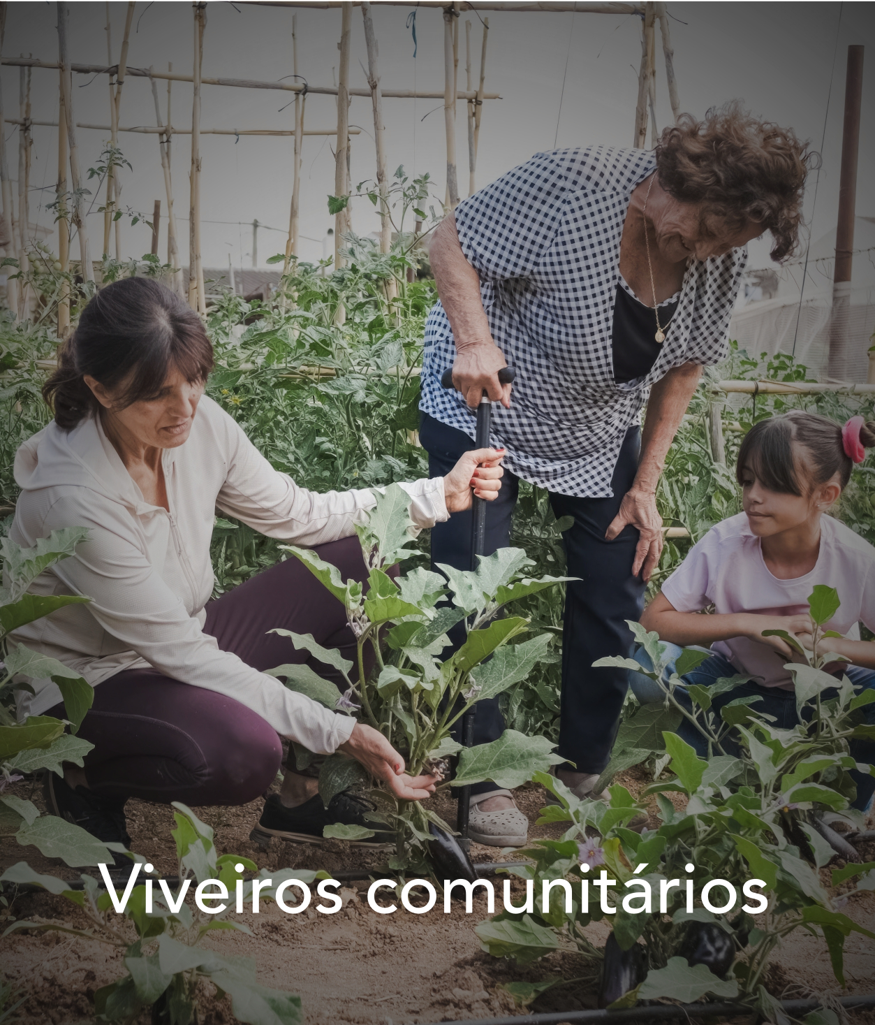 soluciones03