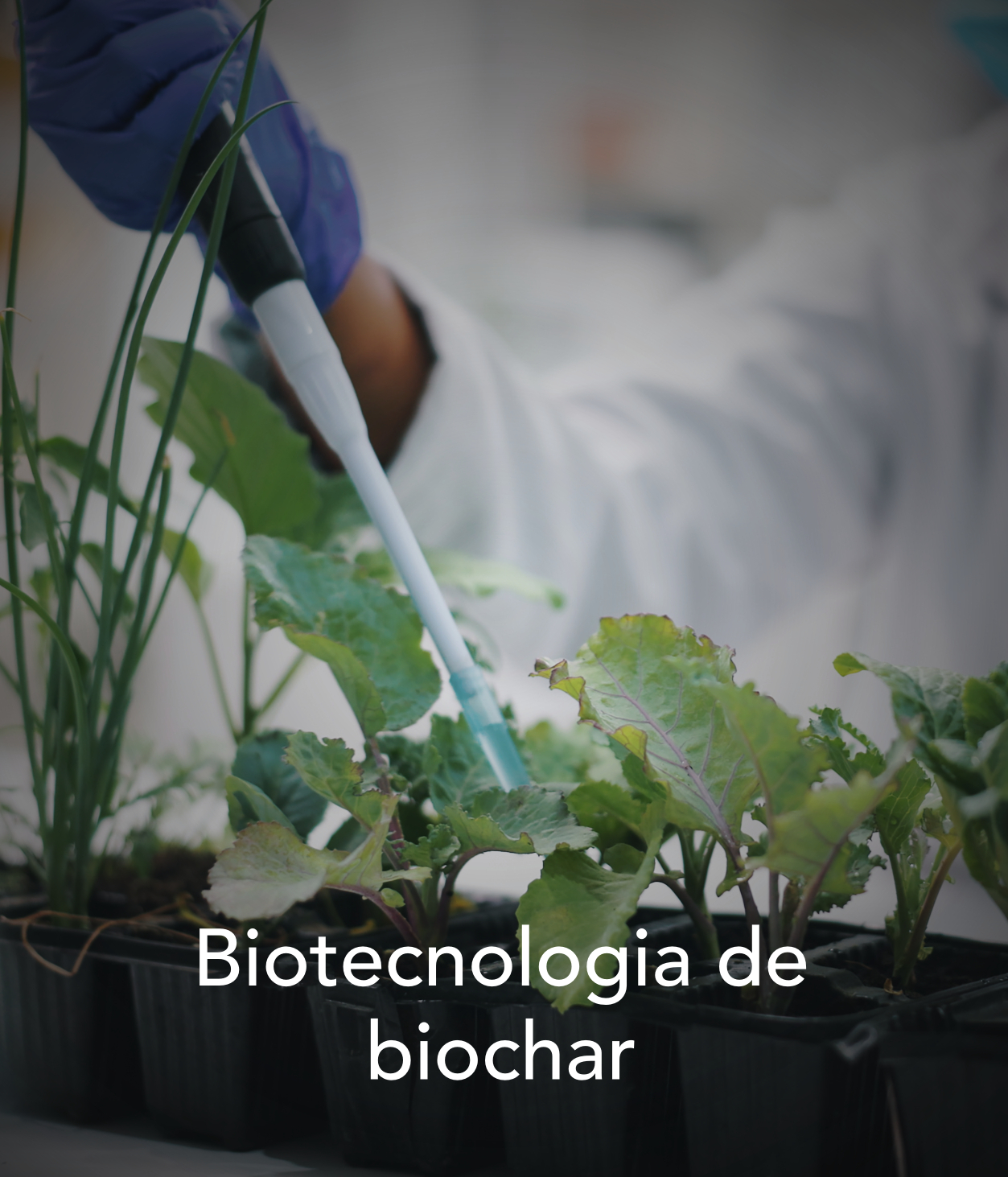 soluciones04
